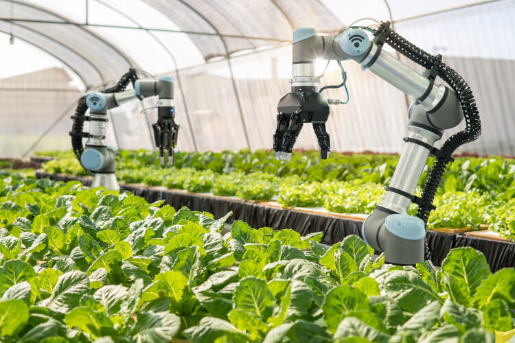 Avances-tecnologicos-en-la-agricultura La Tecnología en el Ámbito Agrícola: Revolución a Través de la Agricultura de Precisión.