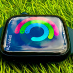 Tu-Apple-Watch-dice-que-has-quemado-2.000-kcal…-pero-probablemente-no-sea-verdad-150x150 ¿Amor en 280 caracteres? Elon Musk planea convertir Twitter en una app de citas